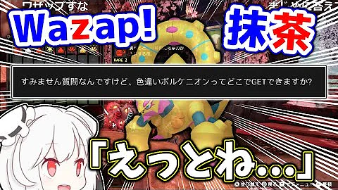 ボルケニオン色違い