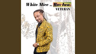 Veteran - White Mice