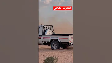 شاص صنع اليابان 