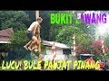 Lucu! Bule Panjat Pinang 17 Agustus 2018 Di Bukit Lawang | Greasy Pole Climbing Contest In Indonesia