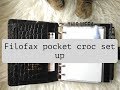 Filofax pocket croc set up (feat. Onyx the exotic shorthair)