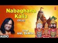 Jagannath rath yatra special nabaghana kalia anil bawraoriya jagannath bhajan latest audio song