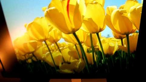 AOC e2243Fw LED Review