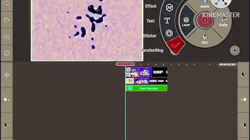 How to make G Major 0 ON KineMaster G Major 0