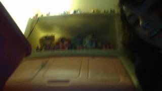 are pony shelf!!!