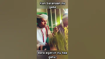 Leencoo Gammachuu Lencho Gemechu Goobee Ethiopian Oromo 2022 