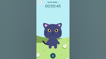 Pawductivity: Tasks → Quests 🐾