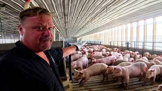 A Farmer's Worst Nightmare: Dealing with PRRS
