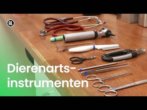 Video: Wat zijn de instrumenten van aardrijkskunde?