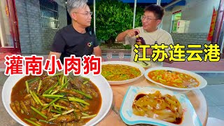 Jiangsu Lianyungang almost extinct local food  Guannan Tianlou small meat dog  sold only one month