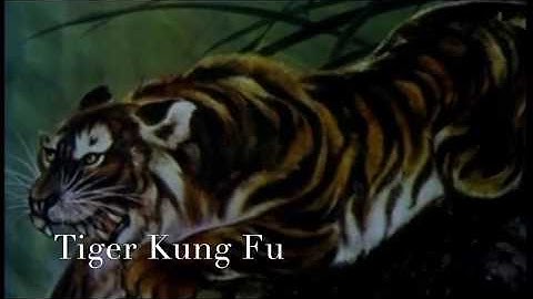 Powerful Tiger Claw Kung Fu