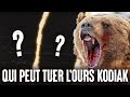 5 animaux qui pourraient vaincre un ours kodiak