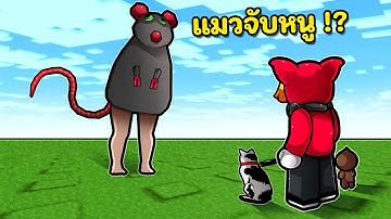 แมวจับหนู !?