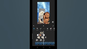 Cut Out Video 💥 INSHOT