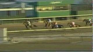 Discreet Cat - 2006 Cigar Mile by Vintage North American Horse Racing 9,237 views 12 years ago 1 minute, 43 seconds
