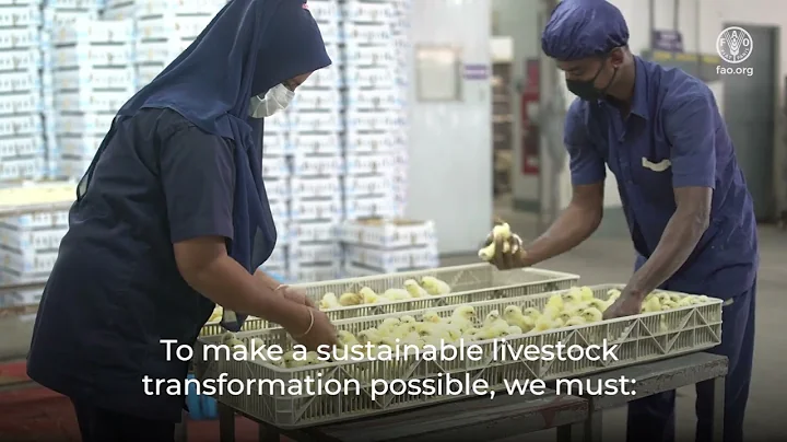 Sustainable livestock transformation
