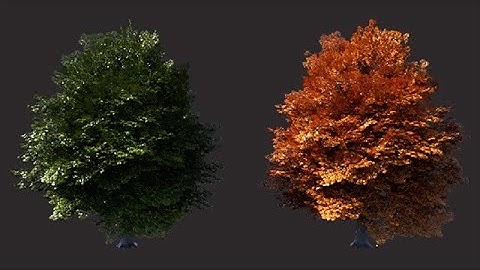Using the {attr} Attribute Syntax for Shader Parameters in Katana