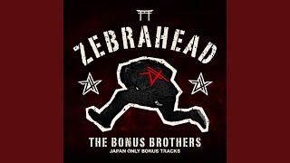 Video thumbnail of "Zebrahead - Down in Flames"