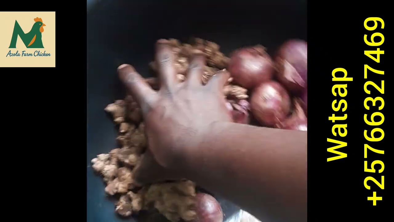 Koresha Ibishishwa Vyimihwi na Tungurusumu , Upunguze amahera yokugura Vetamin