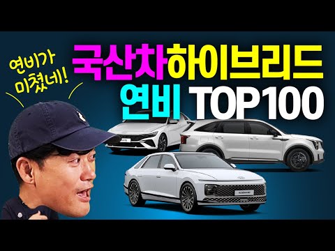   국산차 하이브리드 연비순위 TOP10 요즘 HEV 휘발유 냄새만 맡아도 갈 정도 가성비 출고기간 한번에 정리