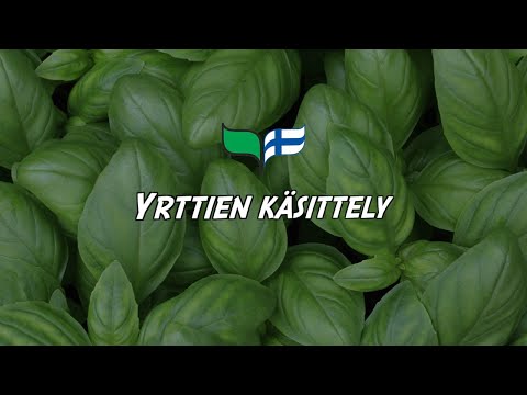 Video: Mikä on korianterin lehtitäplä – lehtitäplän tunnistaminen korianterin kasveista