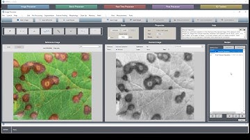 TUTORIAL: Color Deconvolution