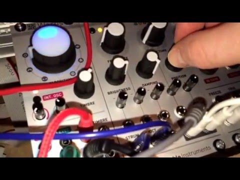 Mutable instruments - Rings (hidden FM mode more wiggling) Eurorack Modular Synth