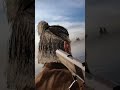 Badass trailer (blade and sorcery)