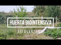 🍅 HUERTA BIOINTENSIVA 🥬️ bancal profundo, compost y más