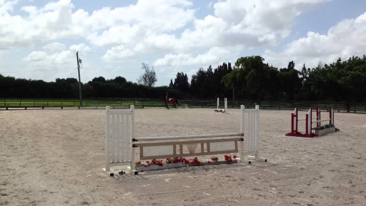 Don Daliha hunter for sale Florida YouTube