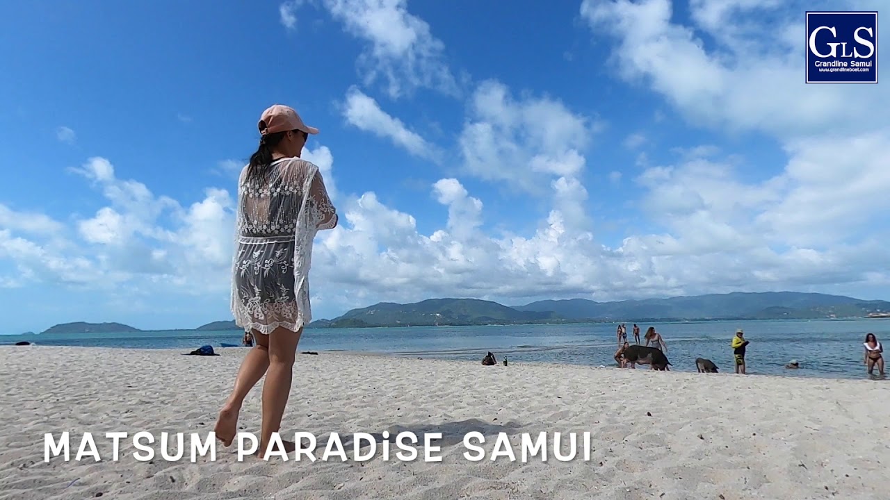 Travel Today 23 January 2020 GrandLine Samui Speed Boat Tour to Koh Madsum(Pig island) Thailand