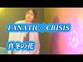 FANATIC◇CRISIS/真冬の花【うたスキ動画】#fanaticcrisis #v系 #冬うた 