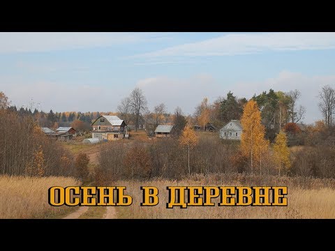 🔔ОСЕНЬ В ДЕРЕВНЕ