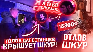 Видео ОНИ КРЫШУЮТ "ШКУР"! / ОТЛОВ "ШКУР" ЧАСТЬ 2 / КОНСУМАЦИЯ (автор: KOVALENKO)