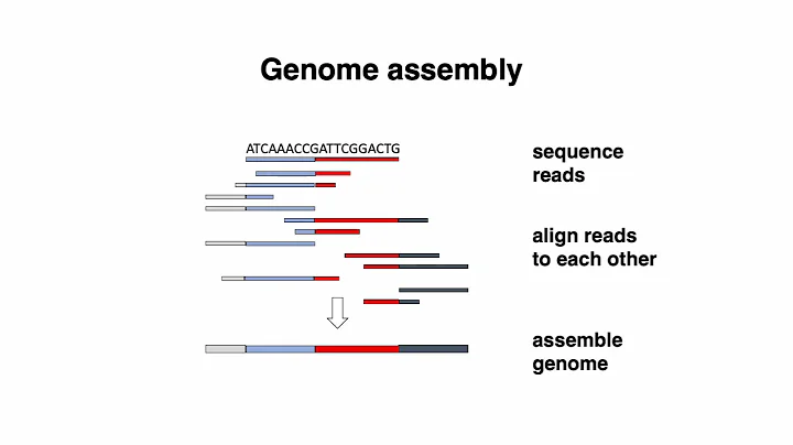 (2022) MCB 182 Lecture 1 - DNA Sequencing