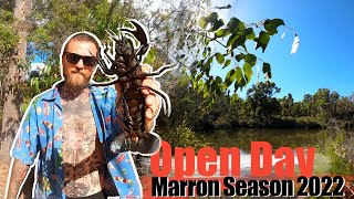 FRESHWATER CRAYFISH - Marron Season 2022 open day