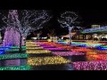 フローランテ宮崎 光の花園イルミネーションショー