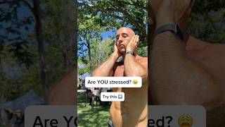 Download Lagu One Of The Best Methods I’ve Found For Stress Reduction MP3