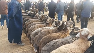 Дусвой Куй Кузи Кучкор Нархлари Дехконлардан Карши Карвон Мол Бозорида