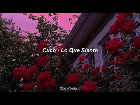 Cuco - Lo Que Siento (Sub. Español) [Lyrics]