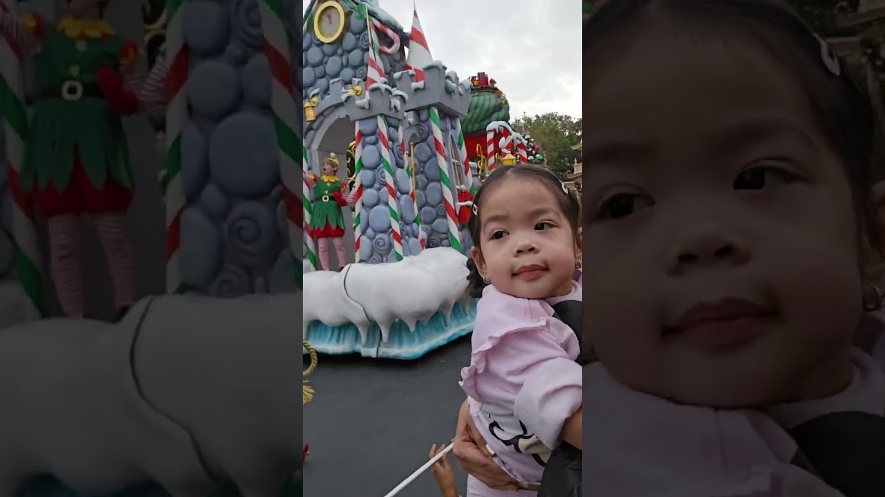 disneyland December 2024