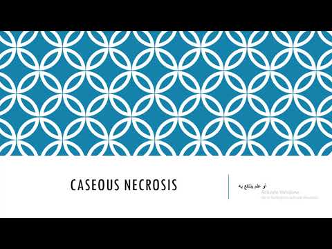 Video: Caseous Necrose Van De Long En De Lymfeknoop