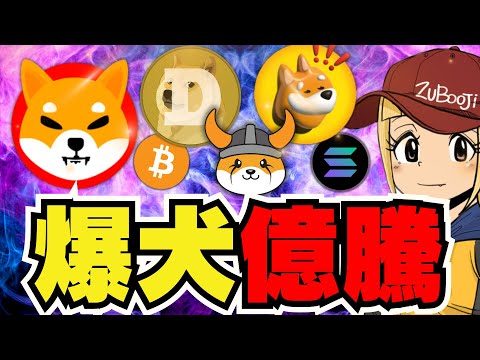 【🔥柴犬爆上げ】仮想通貨急上昇！バブルへようこそ｜犬系ミームコインが急騰｜ビットコインどこまで上がるのか｜イーサリアムも強気予想｜Solanaミームコインあやしいものも｜DOGE,Bonk,Floki