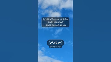 سورة يونس الآية ٥٣ و ٥٤ بصوت الشيخ محمد صديق المنشاوي