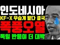 인도네시아 KF-X 우습게 알다 결국 폭풍오열 "독일 반응이 더 대박