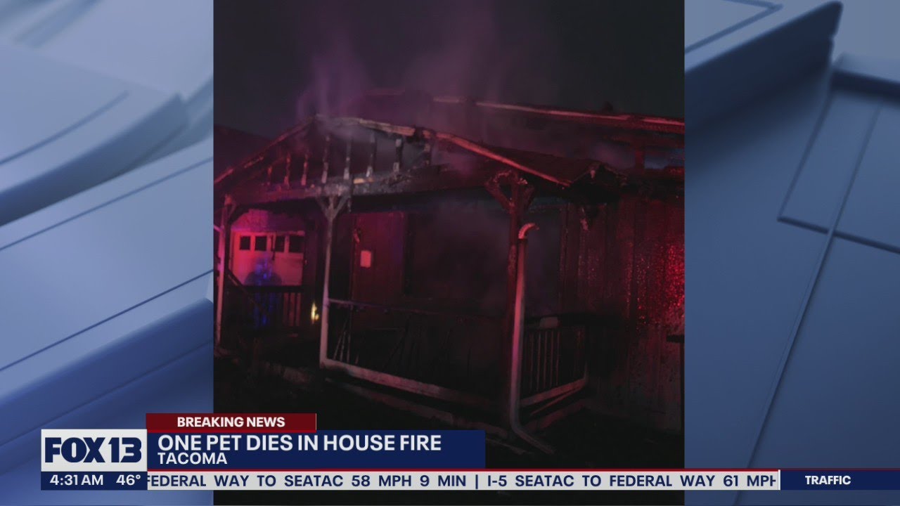 1 pet dies in Tacoma house fire | FOX 13 Seattle - YouTube