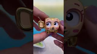 Celebrity Squirkies Fidget Pets Mystery Pack #squirkies #fidgetfun #fidgets #fidgettoys #shorts Net Worth