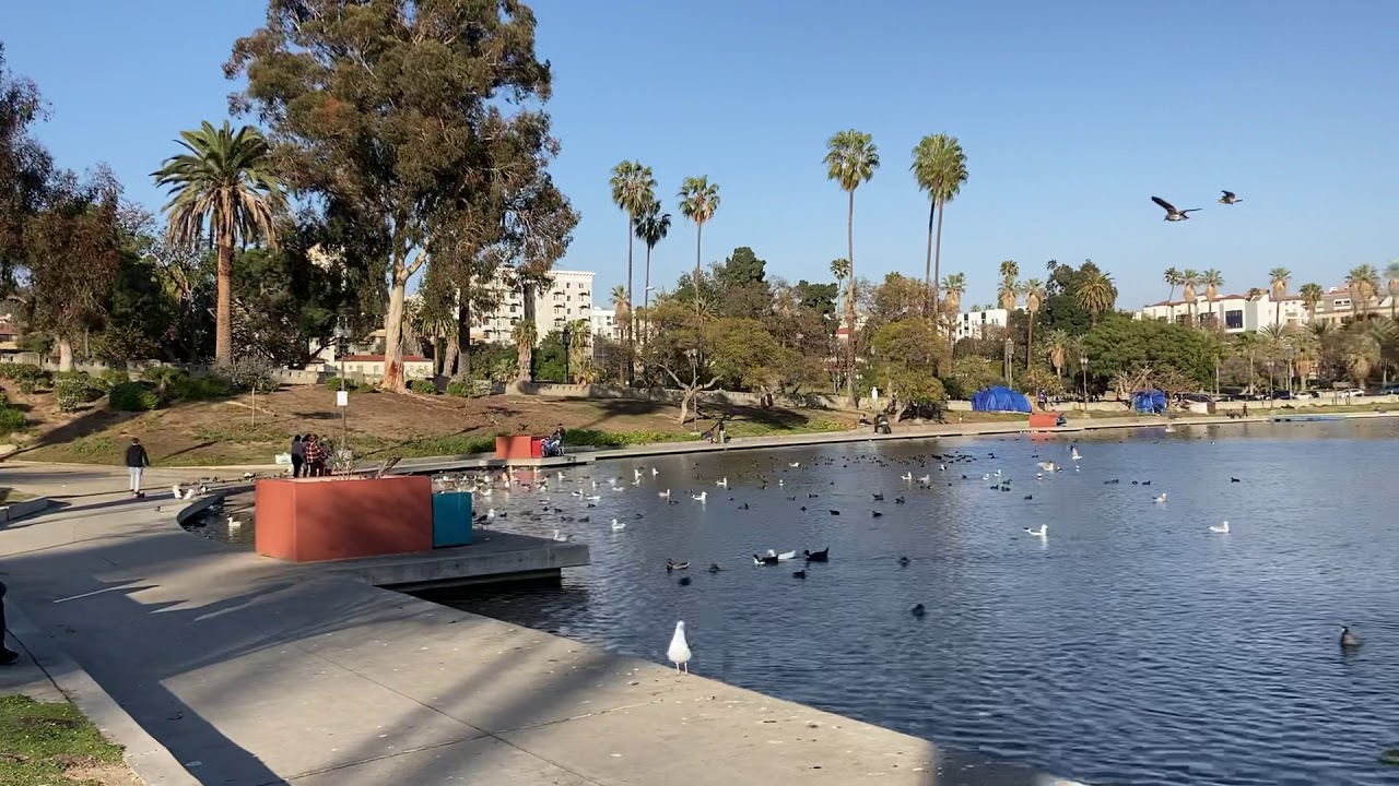 MacArthur Park and Homeless Tents MacArthur Park, Los Angeles