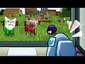 Amongus reaction Pushcats Minecraft compilation | Pushcats