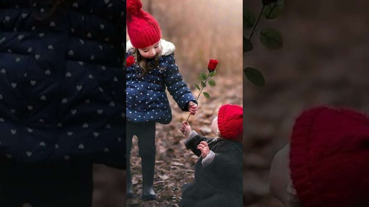 Happy Rose Day 2023 🌹 full screen WhatsApp status Rose day 🌹 